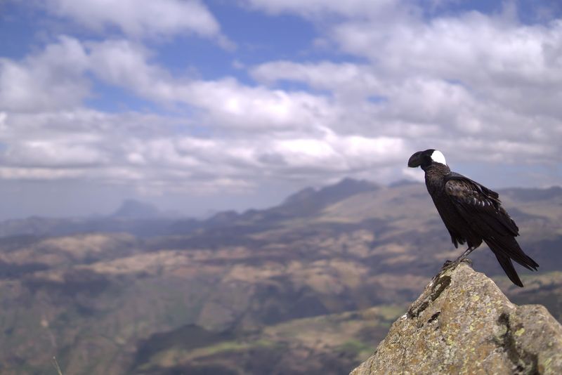 Simien Mountains National Park - Ethiopia Simien Mountains National Park - Ethiopia