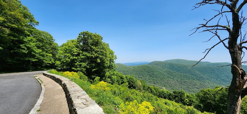 Skyline Drive: The Road That Changes Everything