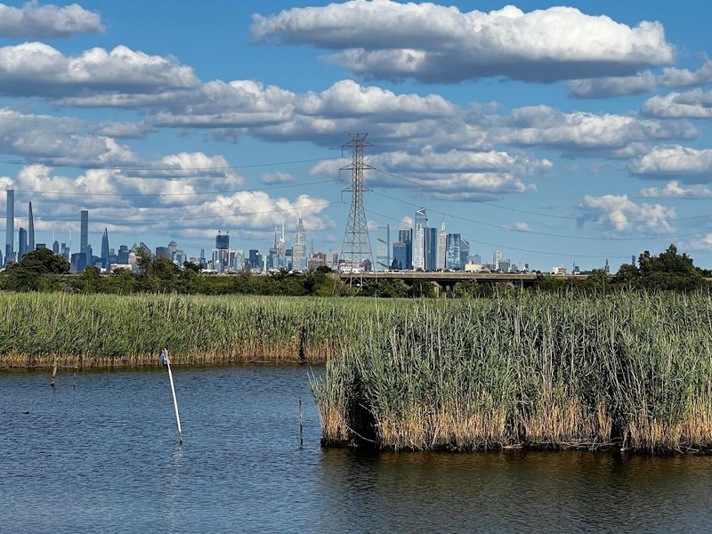 Skyline Views Beyond The Marsh Skyline Views Beyond The Marsh
