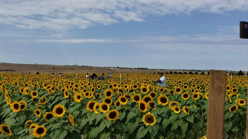 Southern Hill Farms, Clermont, Florida Southern Hill Farms, Clermont, Florida