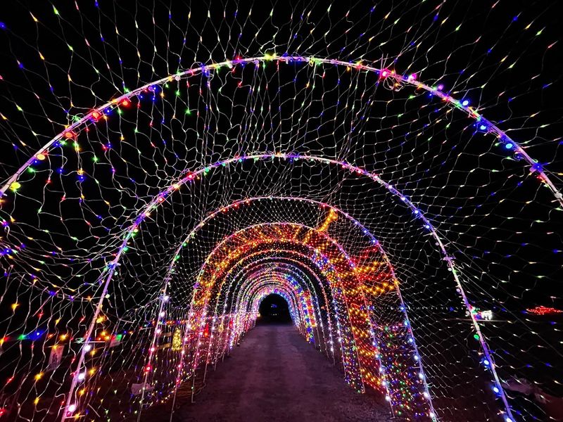 Special Events, Seasonal Attractions, and the Festival of Lights