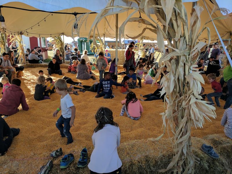 Special Events That Make Every Visit Feel Different