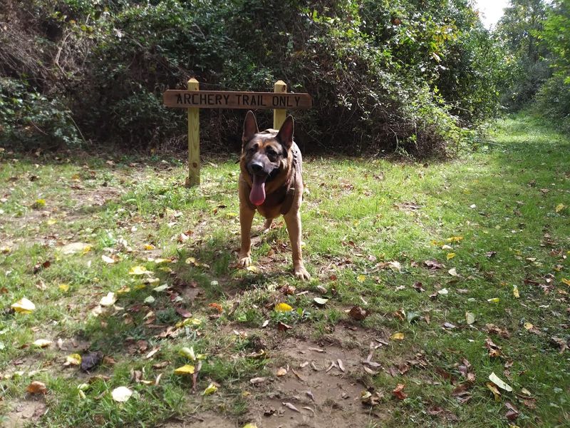Sports Courts, Disc Golf, and a Dog Park Built for Play Sports Courts, Disc Golf, and a Dog Park Built for Play