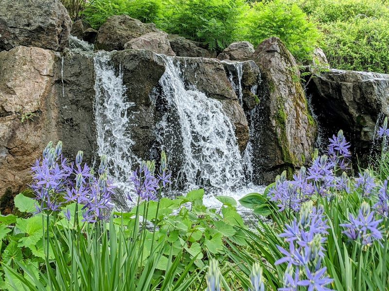 Spring Blooms That Make the Whole Trip Worth It