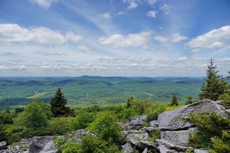 Spruce Knob Summit Trail, Riverton, West Virginia