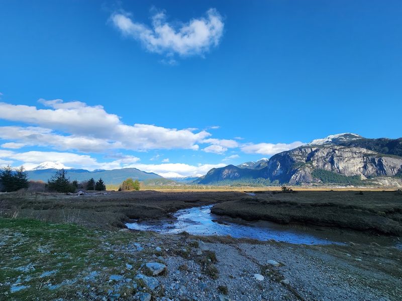 Squamish Estuary, Squamish, British Columbia, Canada Squamish Estuary, Squamish, British Columbia, Canada
