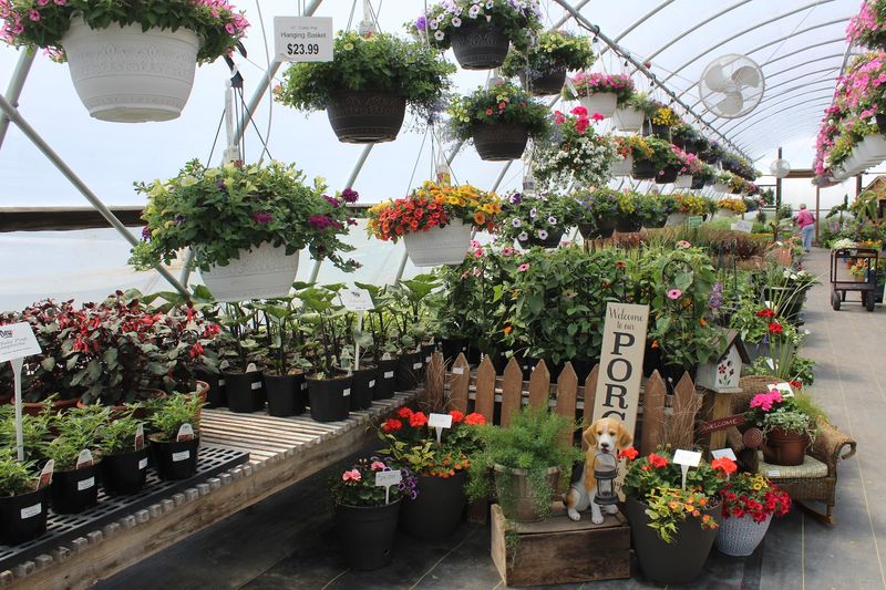 Staff Who Know Their Plants and Actually Enjoy Helping You Staff Who Know Their Plants and Actually Enjoy Helping You