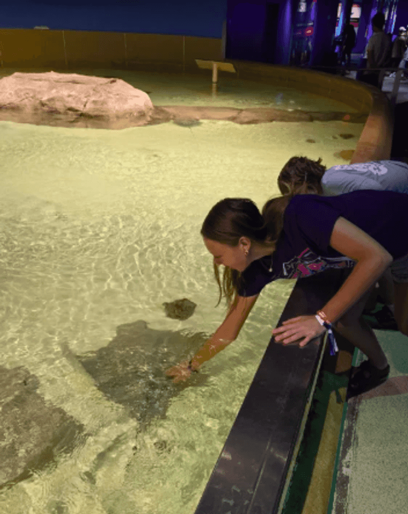 Stingrays You Can Actually Touch