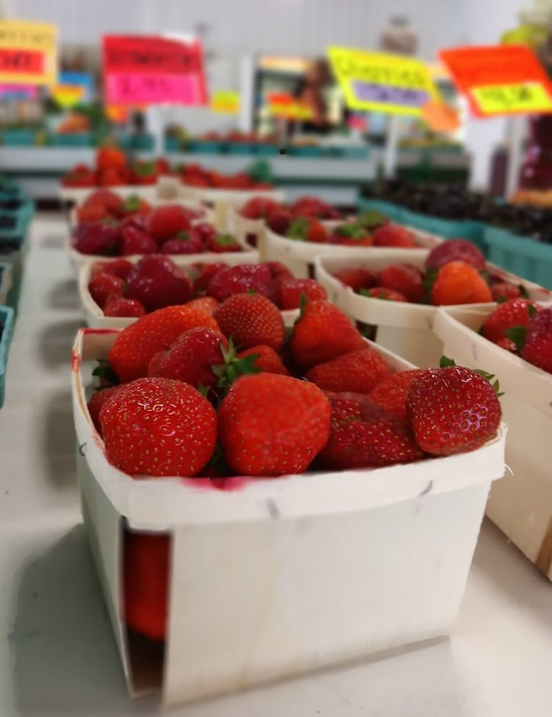 Strawberry Season Is Its Own Kind of Magic Strawberry Season Is Its Own Kind of Magic