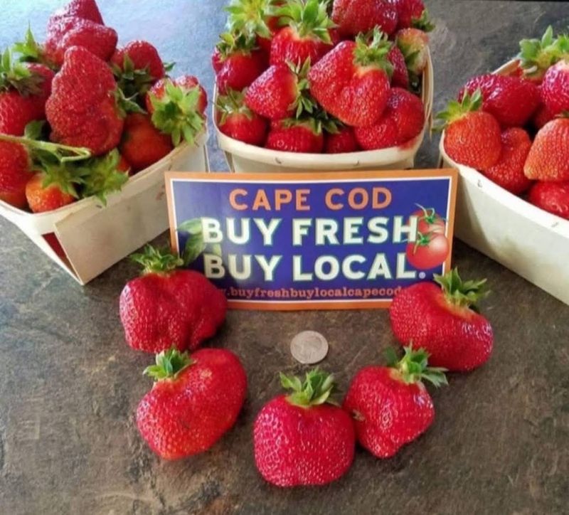 Strawberry Season and Why It Matters