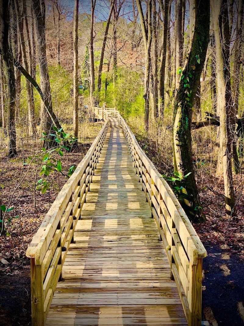 Strolling the Wooded Trails and Wetlands