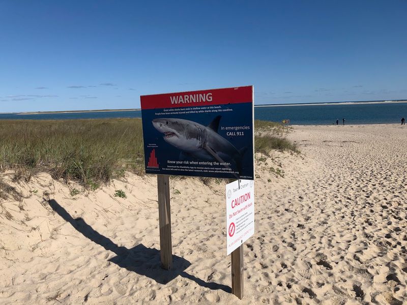 Strong Currents and White Shark Warning Signs
