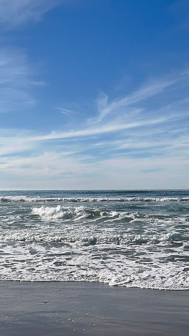 Surf Beach, Lompoc, California Surf Beach, Lompoc, California
