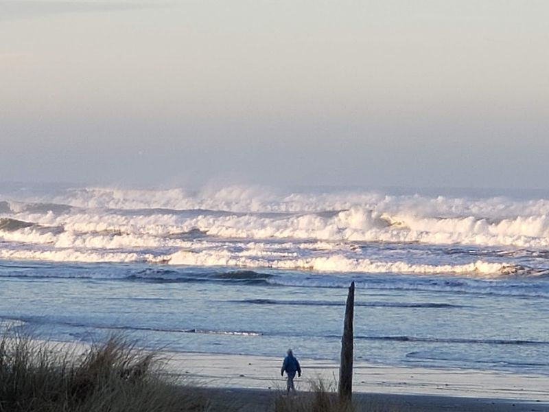 Surfing the Cold Pacific Waves