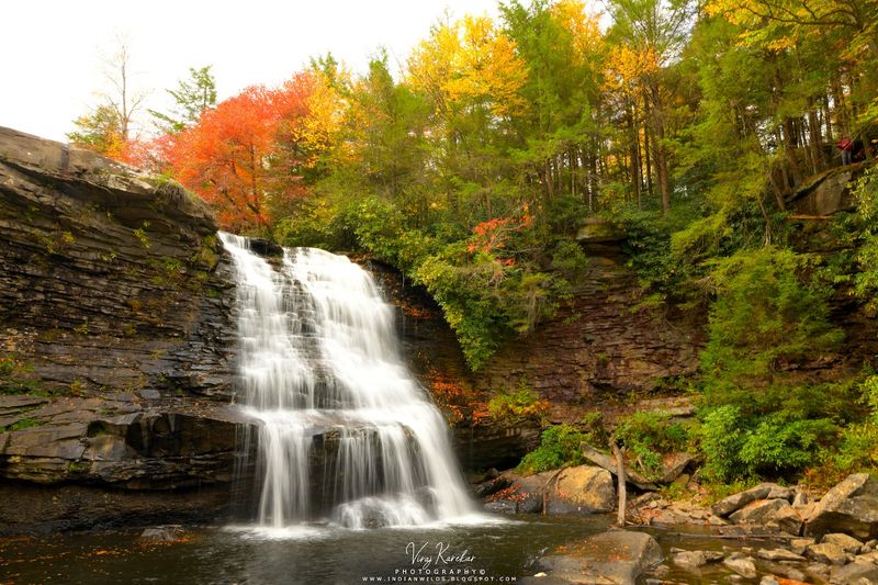 Swallow Falls State Park, Oakland, Maryland Swallow Falls State Park, Oakland, Maryland