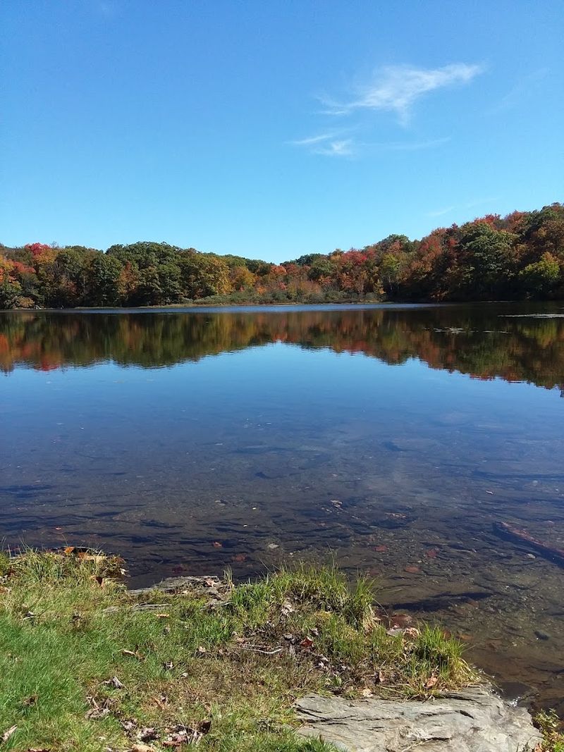Swimming, Fishing, and Time on the Water
