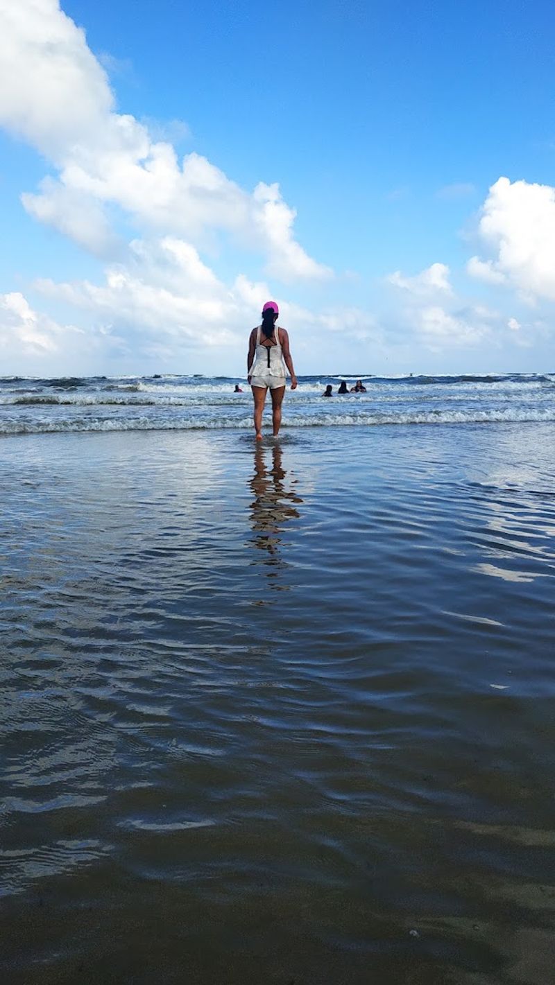 Swimming in the Gulf of Mexico