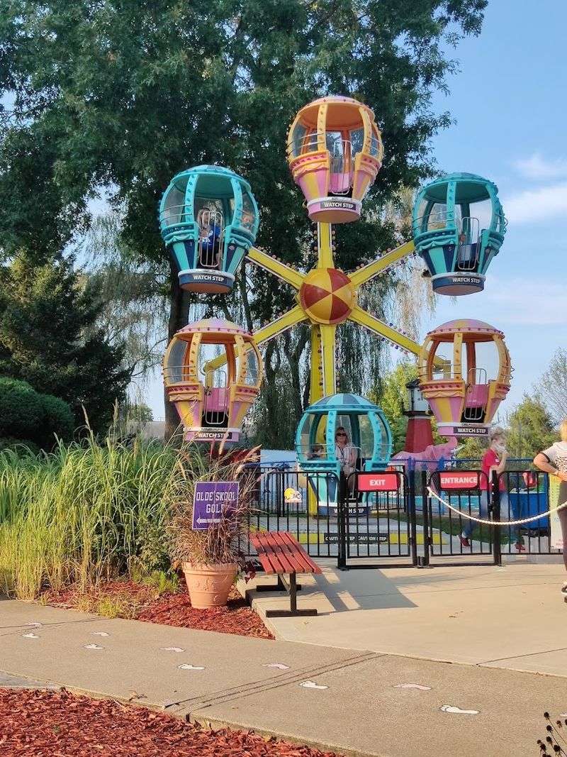 Swings and a Ferris Wheel Round Out the Ride Lineup Swings and a Ferris Wheel Round Out the Ride Lineup