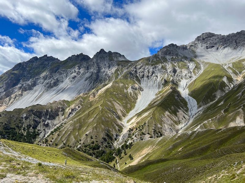 Swiss National Park, Zernez, Graubünden, Switzerland Swiss National Park, Zernez, Graubünden, Switzerland