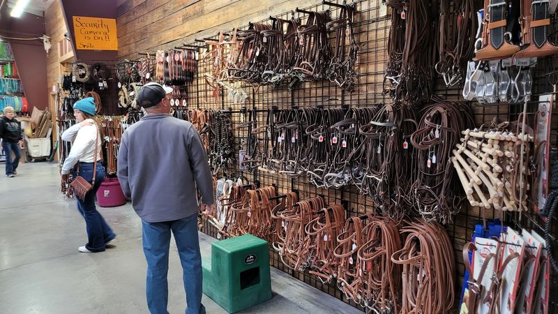 Tack and Equipment for Every Discipline Tack and Equipment for Every Discipline
