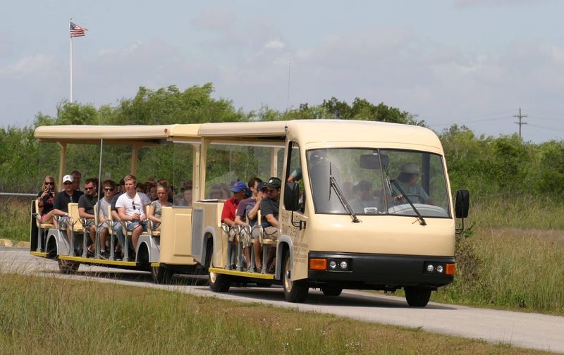 Take The Shark Valley Tram Through Everglades National Park, Florida