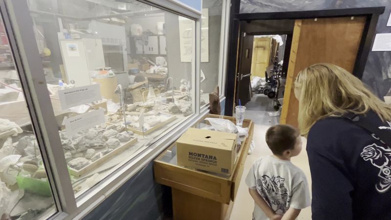 Talking Face-to-Face With Real Paleontologists Talking Face-to-Face With Real Paleontologists