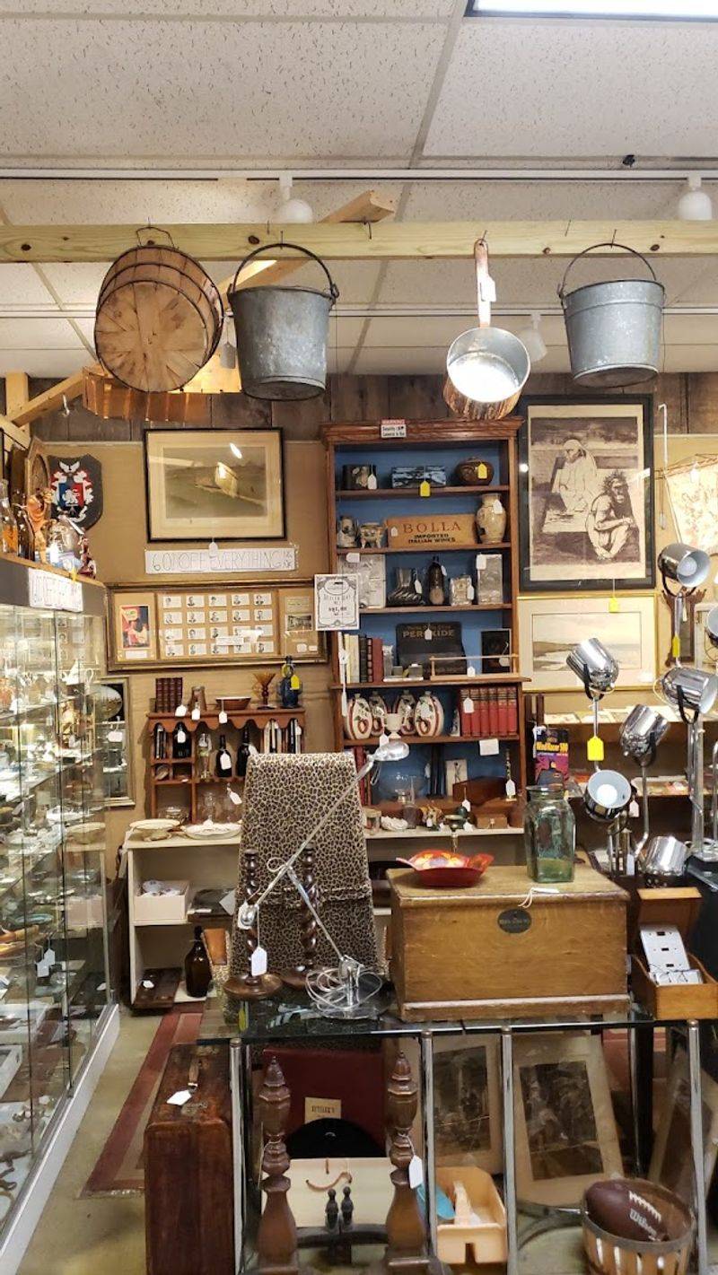 Taxidermy, Movie Memorabilia, And The Truly Unexpected Finds