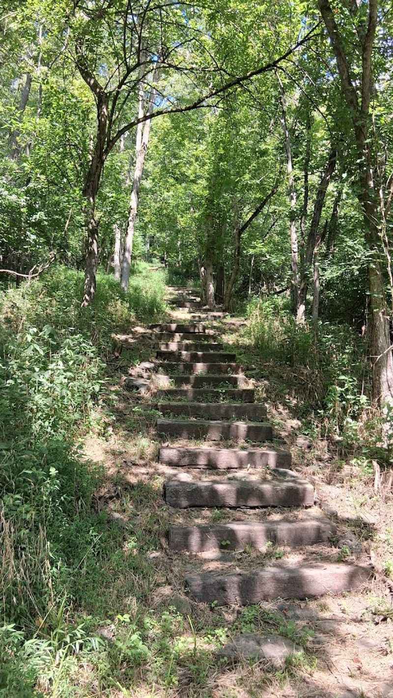 The 100 Steps to Freedom