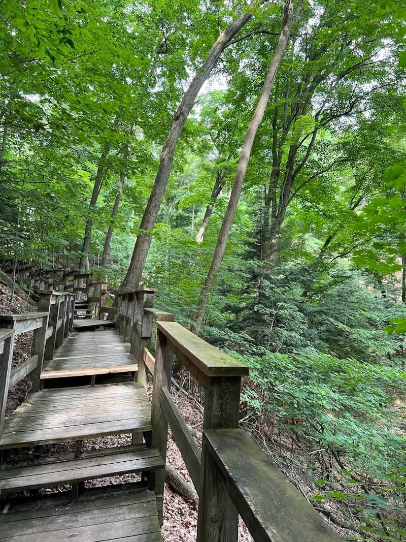 The 1,000-Foot Boardwalk That Changes Everything The 1,000-Foot Boardwalk That Changes Everything