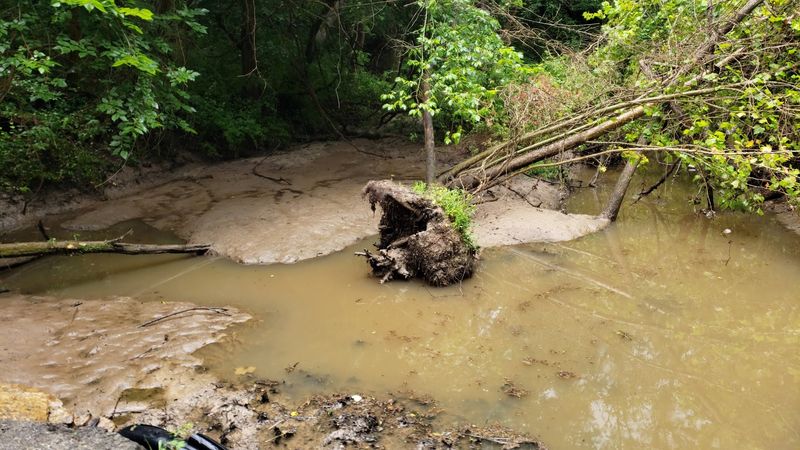 The 115-Year-Old Spring That Started It All