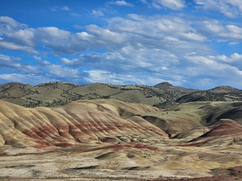The 39-Million-Year Story Written in Color The 39-Million-Year Story Written in Color