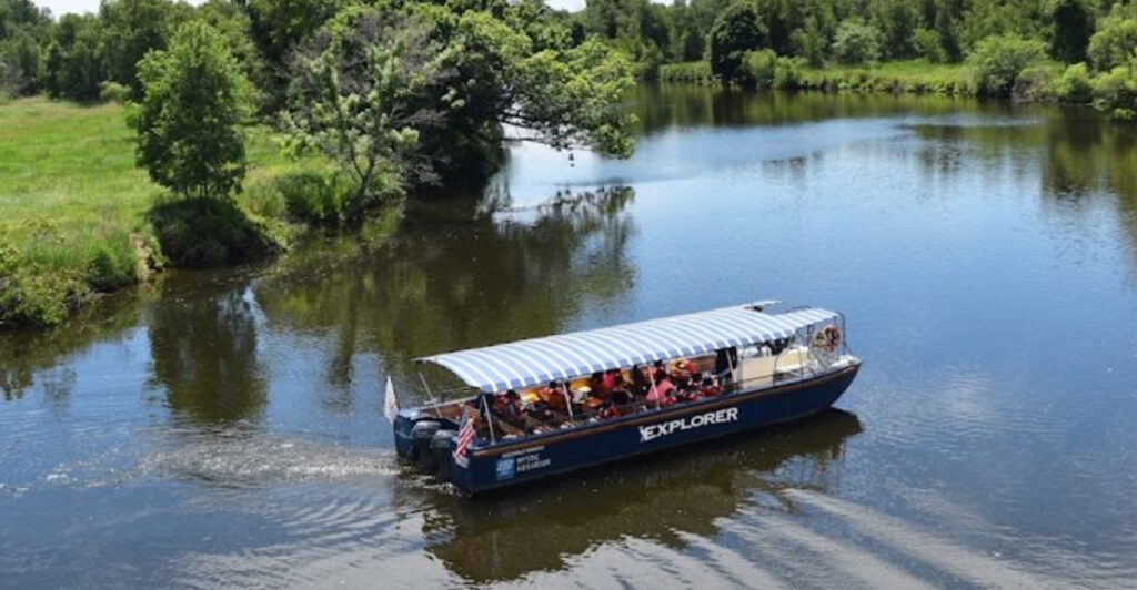 The 50-Minute Rhode Island Cruise Where History Meets Urban Wildlife