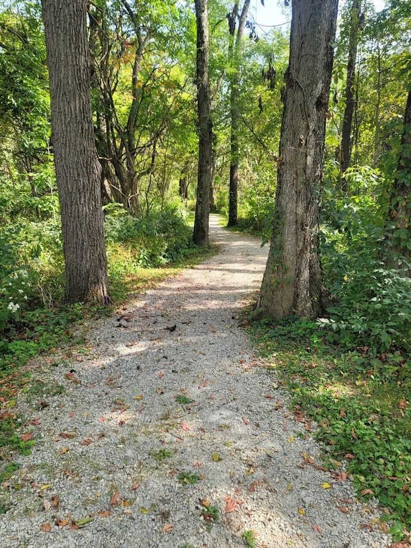 The Alphabet Nature Hunt That Keeps Kids Engaged on the Trail The Alphabet Nature Hunt That Keeps Kids Engaged on the Trail