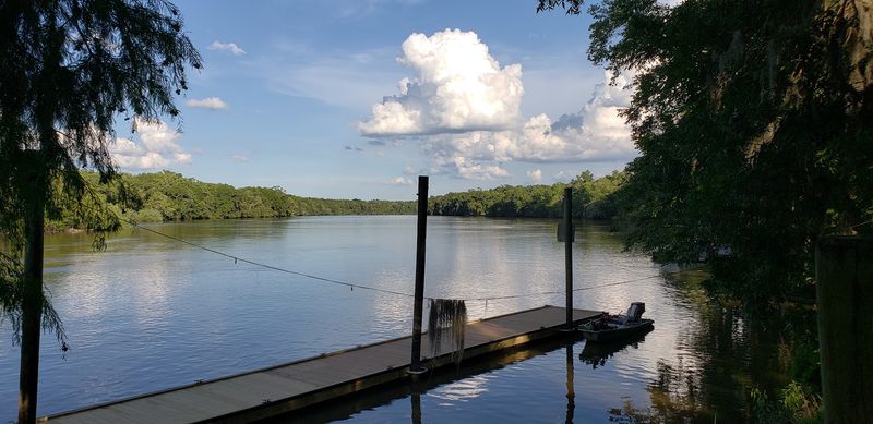 The Altamaha River and Why It Makes This Park Worth the Drive The Altamaha River and Why It Makes This Park Worth the Drive