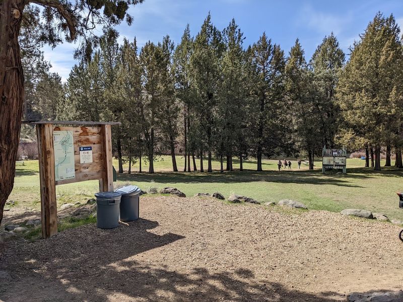 The Amphitheater and Community Features
