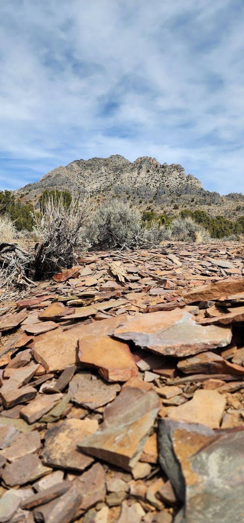 The Ancient Ocean That Once Covered This Desert