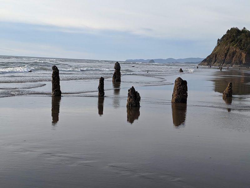 The Ancient Story Behind the Stumps The Ancient Story Behind the Stumps