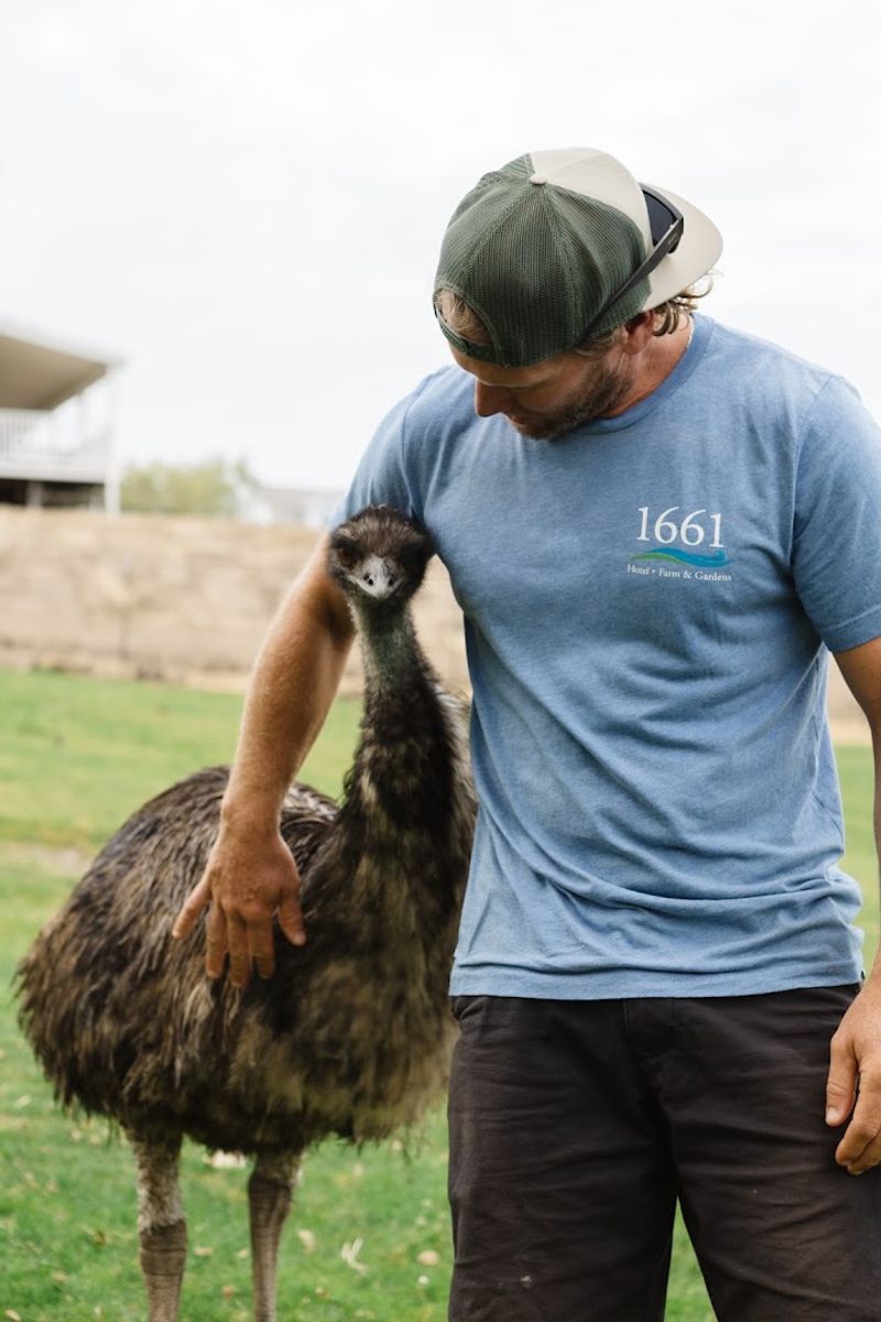 The Animals Are Well Cared For