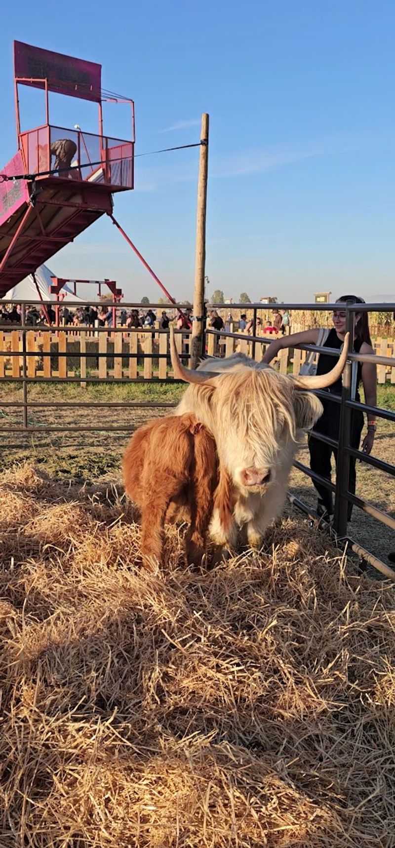 The Animals That Steal the Whole Show