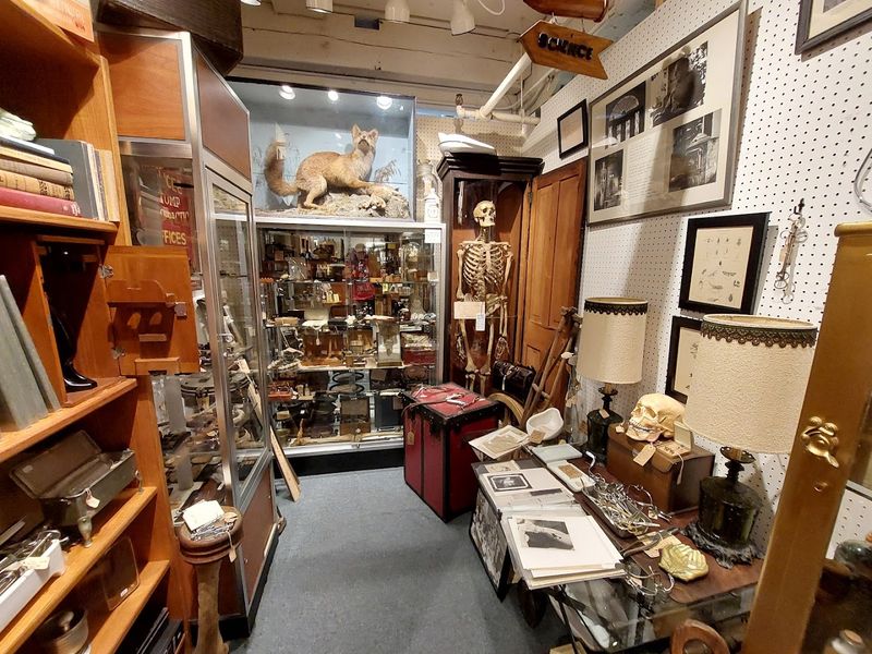 The Antique Scene That Draws Collectors From Across the State The Antique Scene That Draws Collectors From Across the State