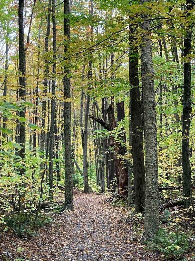 The Appalachian Trail Passes Right Through The Appalachian Trail Passes Right Through