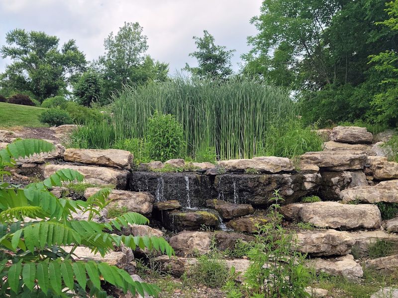 The Arboretum That Turns a Walk into a Lesson