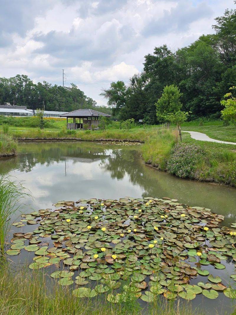 The Arboretum and Bird Sanctuary: Nebraska's Wild Side, Curated The Arboretum and Bird Sanctuary: Nebraska's Wild Side, Curated