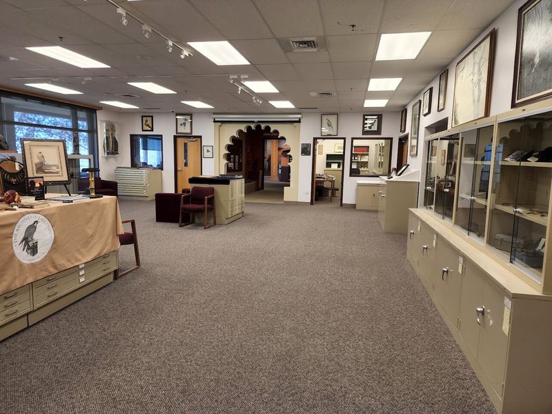 The Archives of Falconry, Boise, Idaho