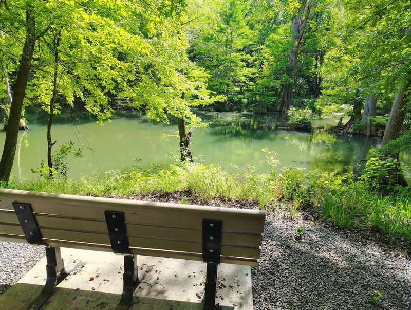 The Arkansas Arboretum: Education Meets Easy Walking