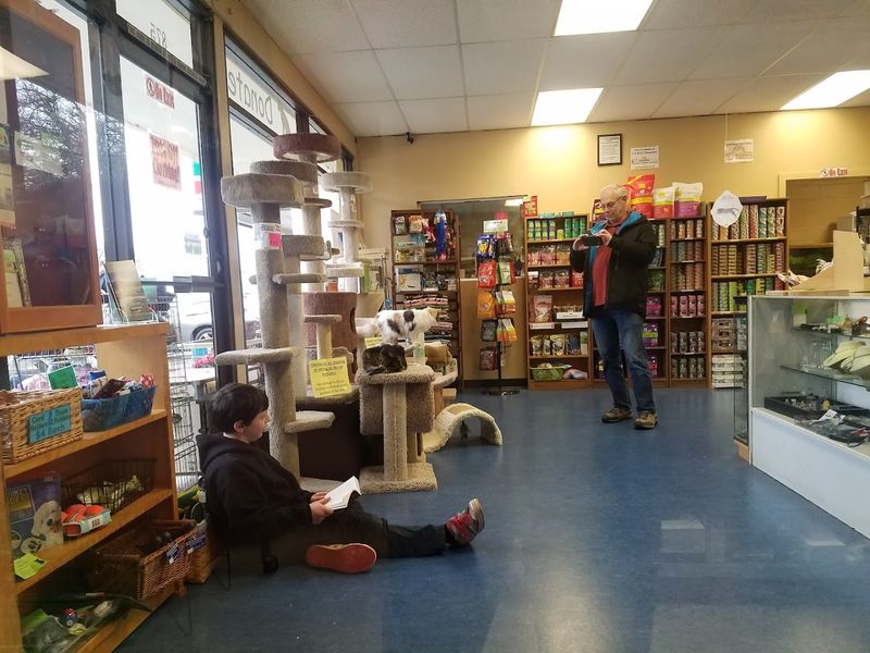 The Atmosphere Inside: What It Feels Like to Shop Here