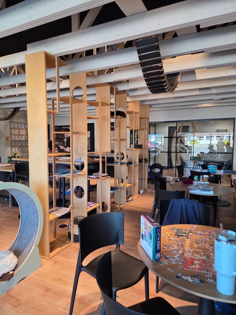 The Atmosphere Inside the Café