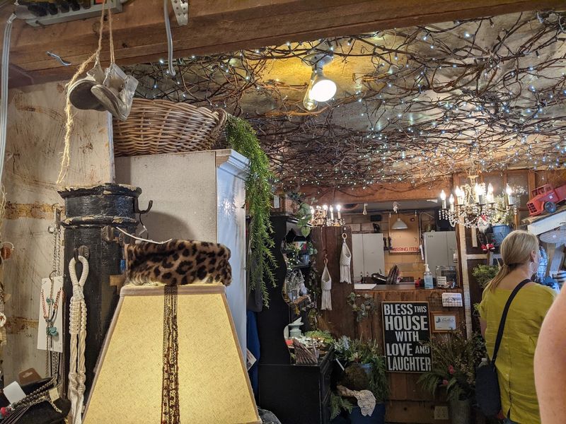 The Atmosphere That Sets the Mood for Browsing