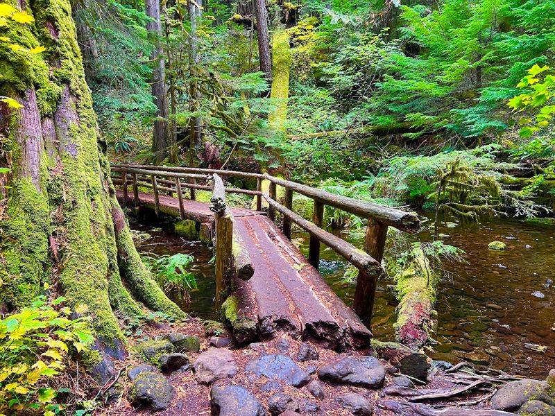 The Atmosphere on the Trail: What It Really Feels Like The Atmosphere on the Trail: What It Really Feels Like