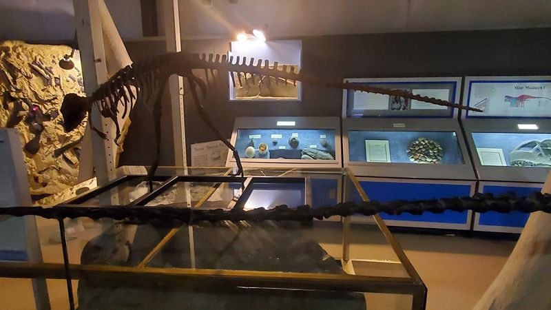 The Baby Dinosaur Discovery That Changed Science Forever The Baby Dinosaur Discovery That Changed Science Forever
